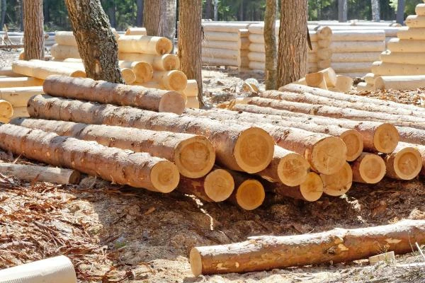 Top Import Markets for Coniferous Saw Logs and Veneer Logs